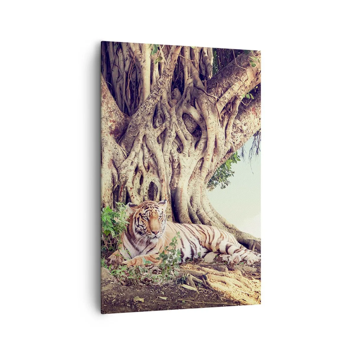 Impression sur toile - Image sur toile - Un tigre se reposant sous un arbre étendu - 80x120cm - Vue du Livre de la Genèse - Décoration murale moderne pour le salon et la chambre ARTTOR