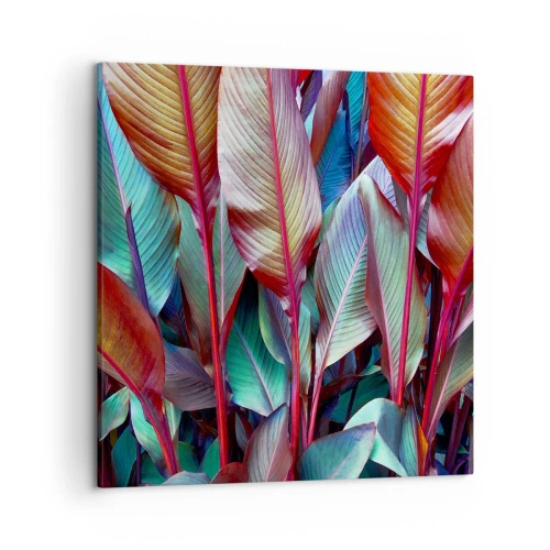 Impression sur toile - Image sur toile - Un fourré coloré - 50x50 cm