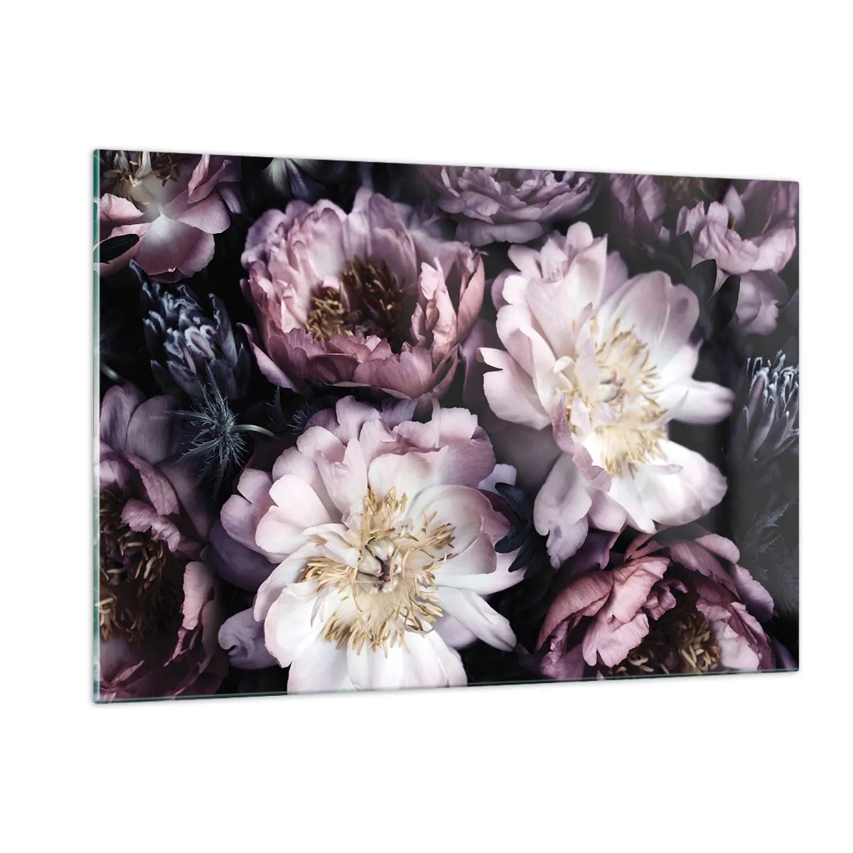 Impression sur verre - Image sur verre - Un bouquet romantique de pivoines aux tons violets et roses discrets - 120x80cm - Bouquet à l'ancienne - Décoration murale moderne pour le salon et la chambre ARTTOR
