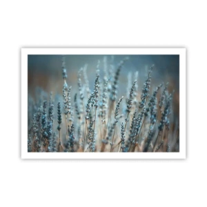 Affiche - Poster - Tige odorante - 91x61 cm