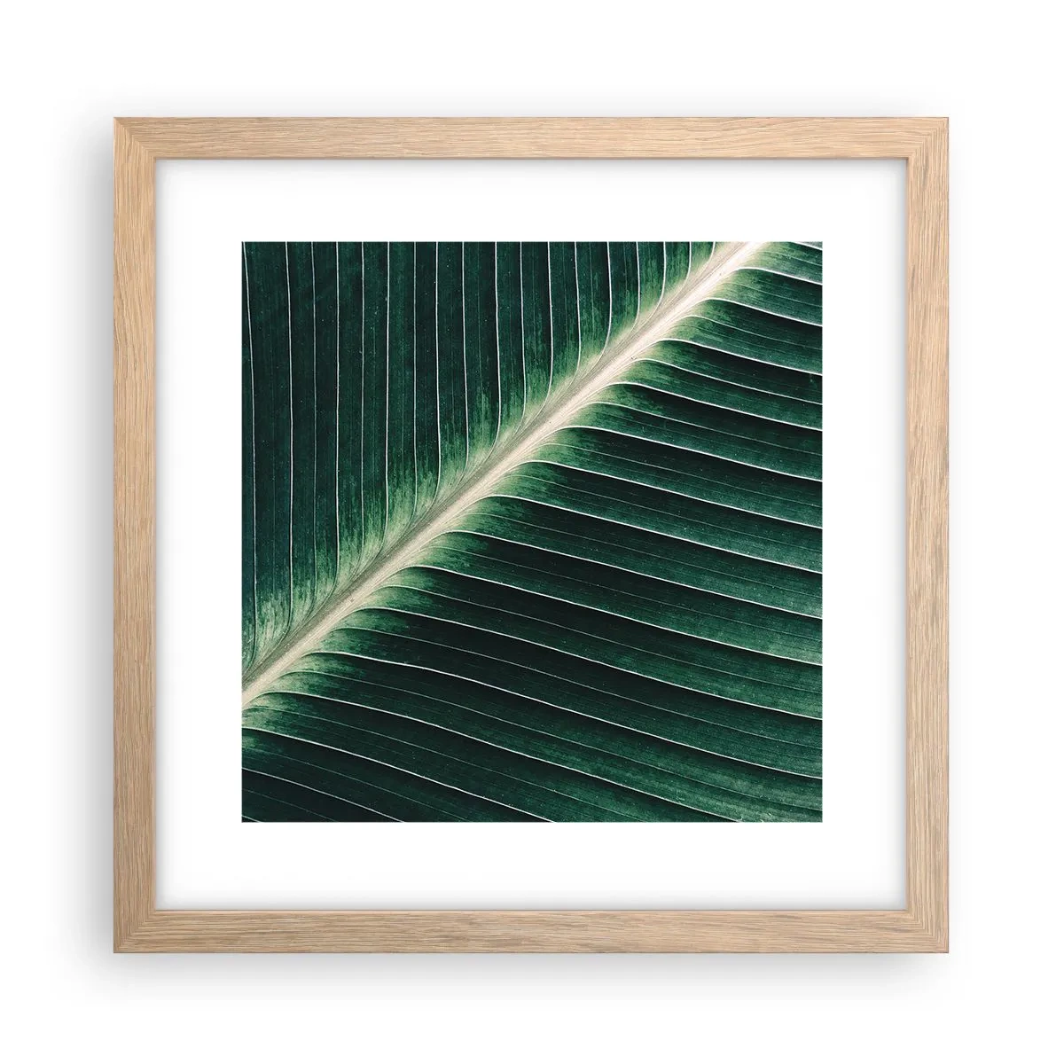 Affiche dans un chêne clair - Poster - Le rythme de la nature - 30x30 cm