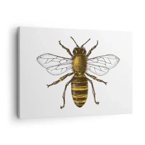 Impression sur toile - Image sur toile - Illustration détaillée d'une abeille sur fond blanc - 70x50cm - Belle et bonne - Décoration murale moderne pour le salon et la chambre ARTTOR