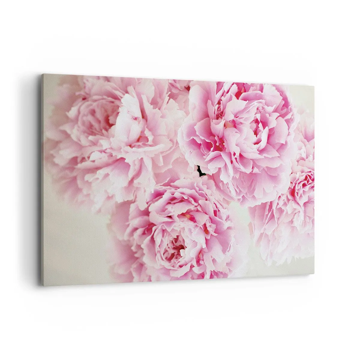 Impression sur toile - Image sur toile - Un bouquet de pivoines roses sur fond clair - 100x70cm - En glamour rose - Décoration murale moderne pour le salon et la chambre ARTTOR