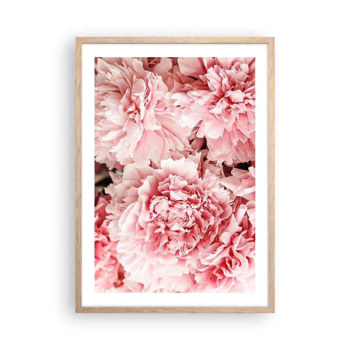 Affiche dans un chêne clair - Poster - Rêve rose - 50x70 cm