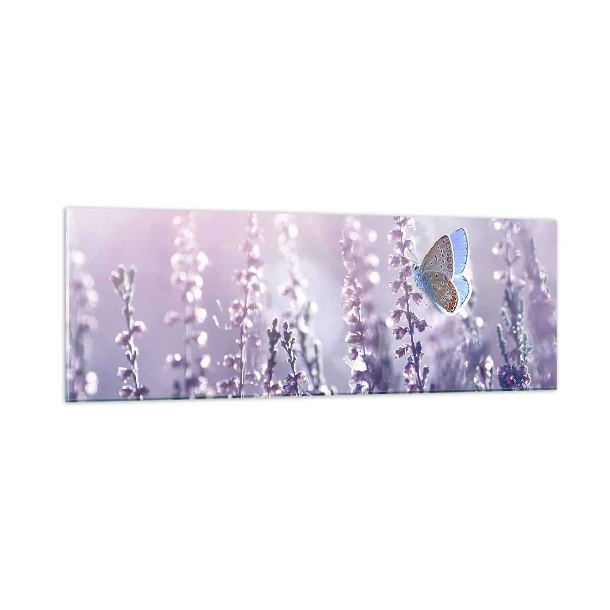 Impression sur verre - Image sur verre - Baiser de papillon - 90x30 cm