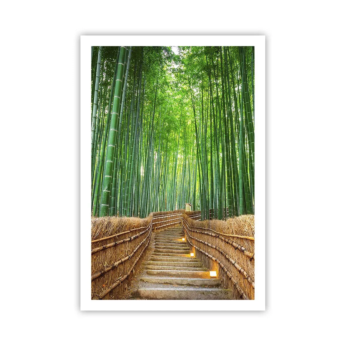 Affiche - Poster - L'essence de la nature asiatique - 61x91 cm