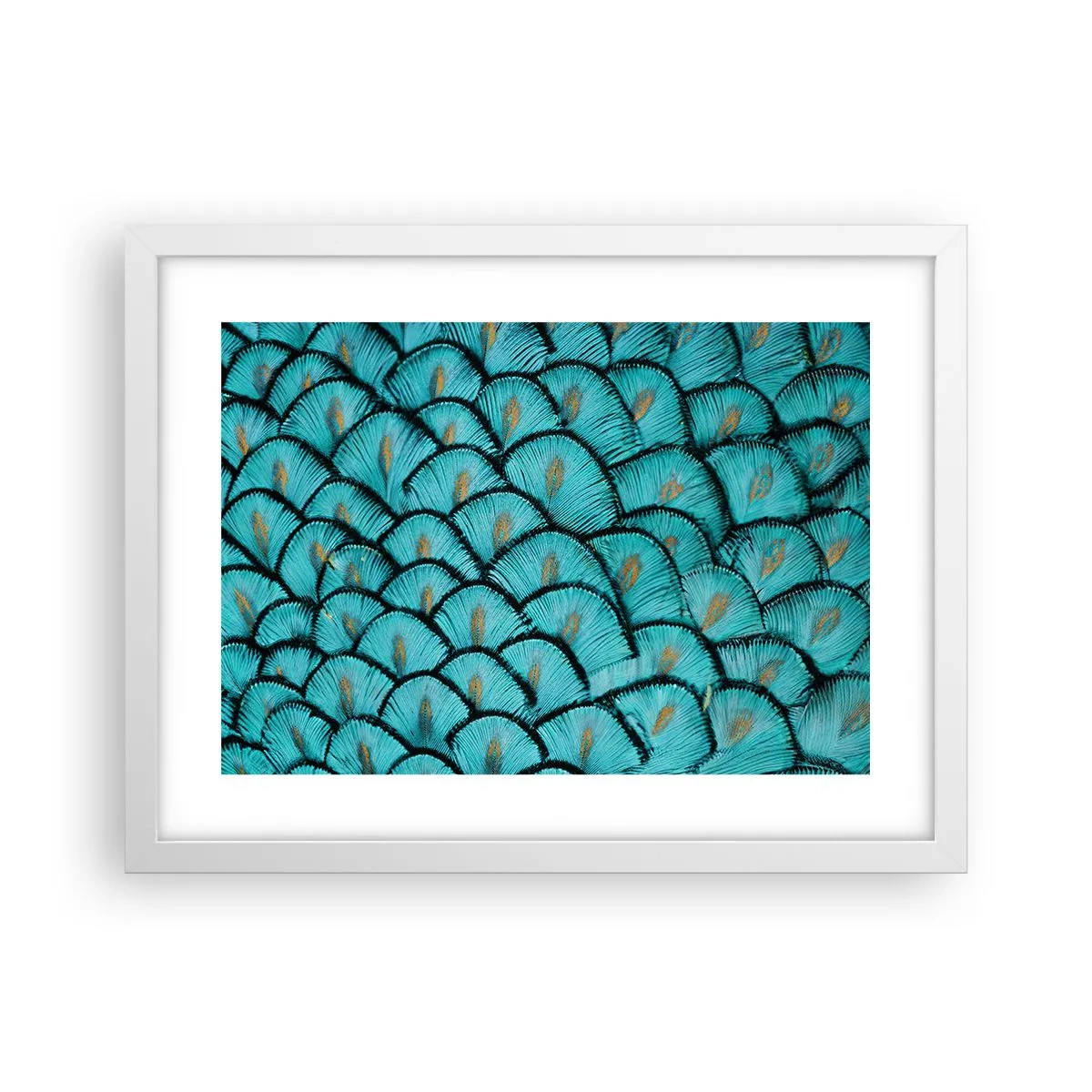 Affiche dans un cadre blanc - Poster - Le grand gala des plumes - 40x30 cm