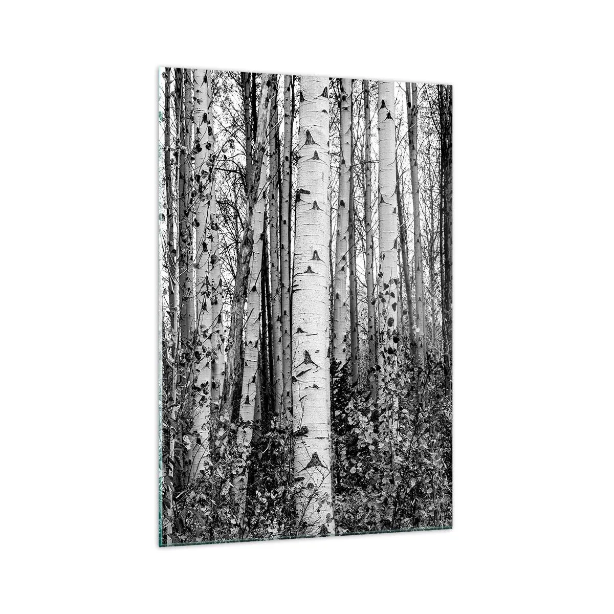 Impression sur verre - Image sur verre - Bouleaux noirs et blancs dans la forêt - 70x100cm - Enchevêtrement de bouleau - Décoration murale moderne pour le salon et la chambre ARTTOR