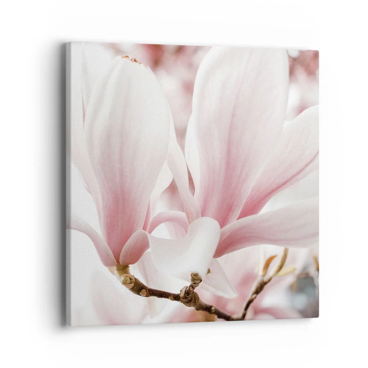 Impression sur toile - Image sur toile - Abondance de tendresse - 40x40 cm