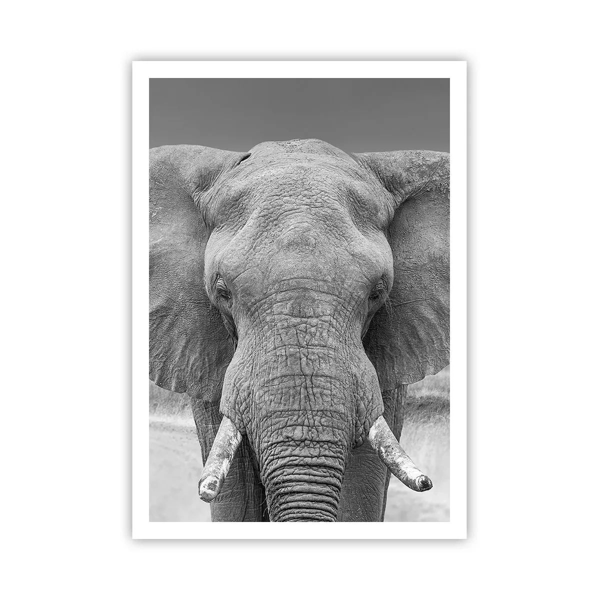 Affiche - Poster - Bienvenue dans mon monde - 70x100 cm