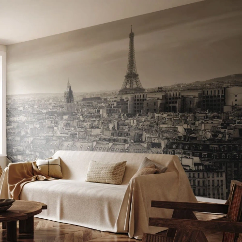 Papier Peint Photo Standard Eco - Sur les toits de Paris - Ville, Paris, Architecture - 300x210 cm