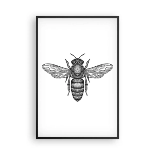Affiche dans un cadre noir - Poster - Portrait d'insecte - 61x91 cm