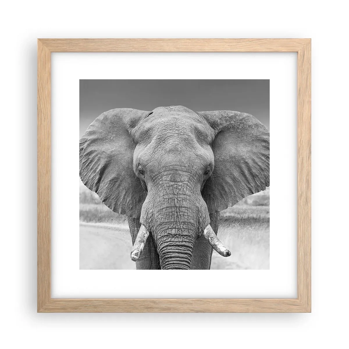 Affiche dans un chêne clair - Poster - Bienvenue dans mon monde - 30x30 cm