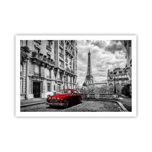 Affiche - Poster - Prédateur dans la ville - 91x61 cm