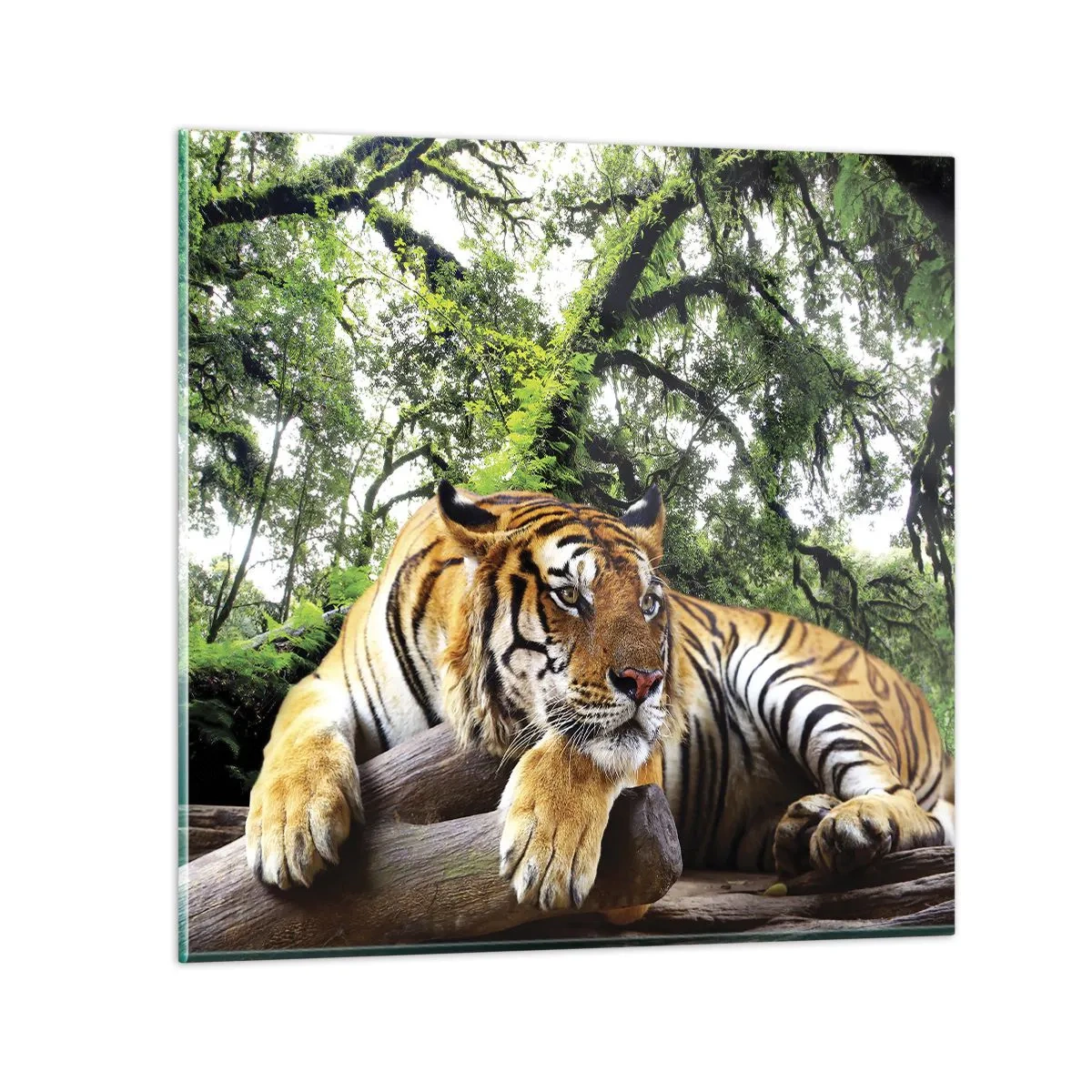 Impression sur verre - Image sur verre - Cordialement - 70x70 cm