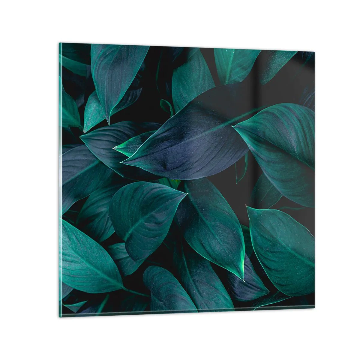 Impression sur verre - Image sur verre - le vert lui-même - 30x30 cm