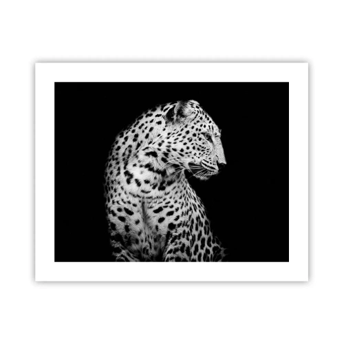 Affiche - Poster - Presque un profil parfait! - 50x40 cm