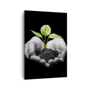 Impression sur toile - Image sur toile - Mains tenant une plante verte sur fond noir - 70x100cm - J'aime la nature, je la protège - Décoration murale moderne pour le salon et la chambre ARTTOR