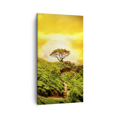 Impression sur toile - Image sur toile - Un chemin sinueux, une pente verte - 45x80 cm