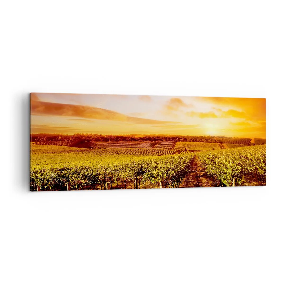 Impression sur toile - Image sur toile - Vignoble au coucher du soleil avec des tons de ciel chauds - 140x50cm - Légèrement fruité avec une pointe de soleil - Décoration murale moderne pour le salon et la chambre ARTTOR