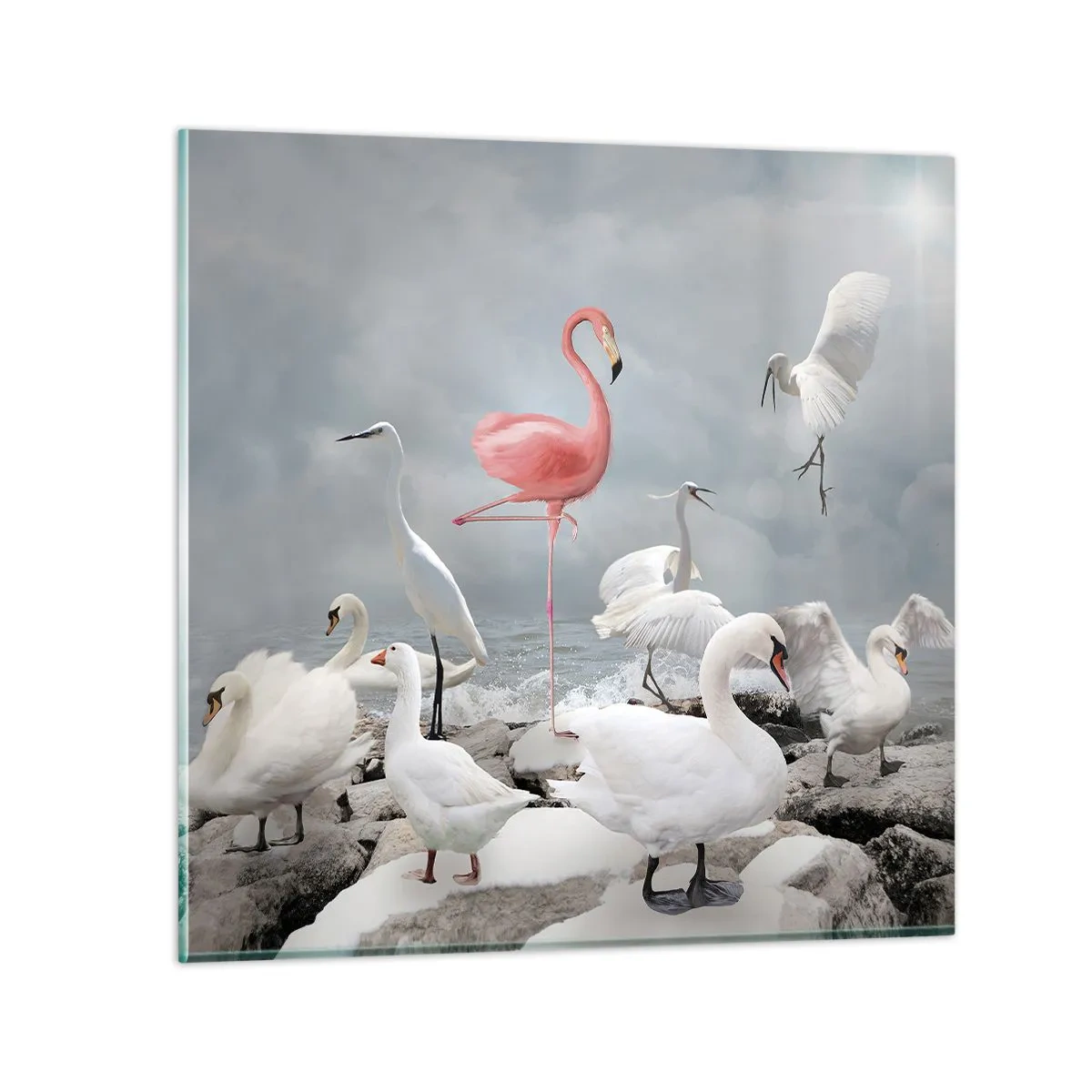 Impression sur verre - Image sur verre - Comment suis-je arrivé là? - 50x50 cm