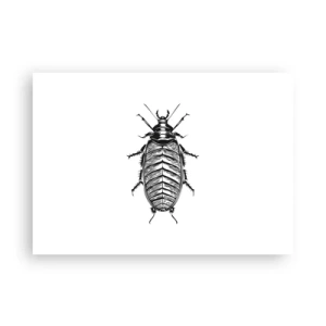 Affiche - Poster - Graphique d'un insecte noir et blanc sur fond blanc - 100x70cm - Quel spécimen! - Décoration murale moderne pour le salon et la chambre ARTTOR
