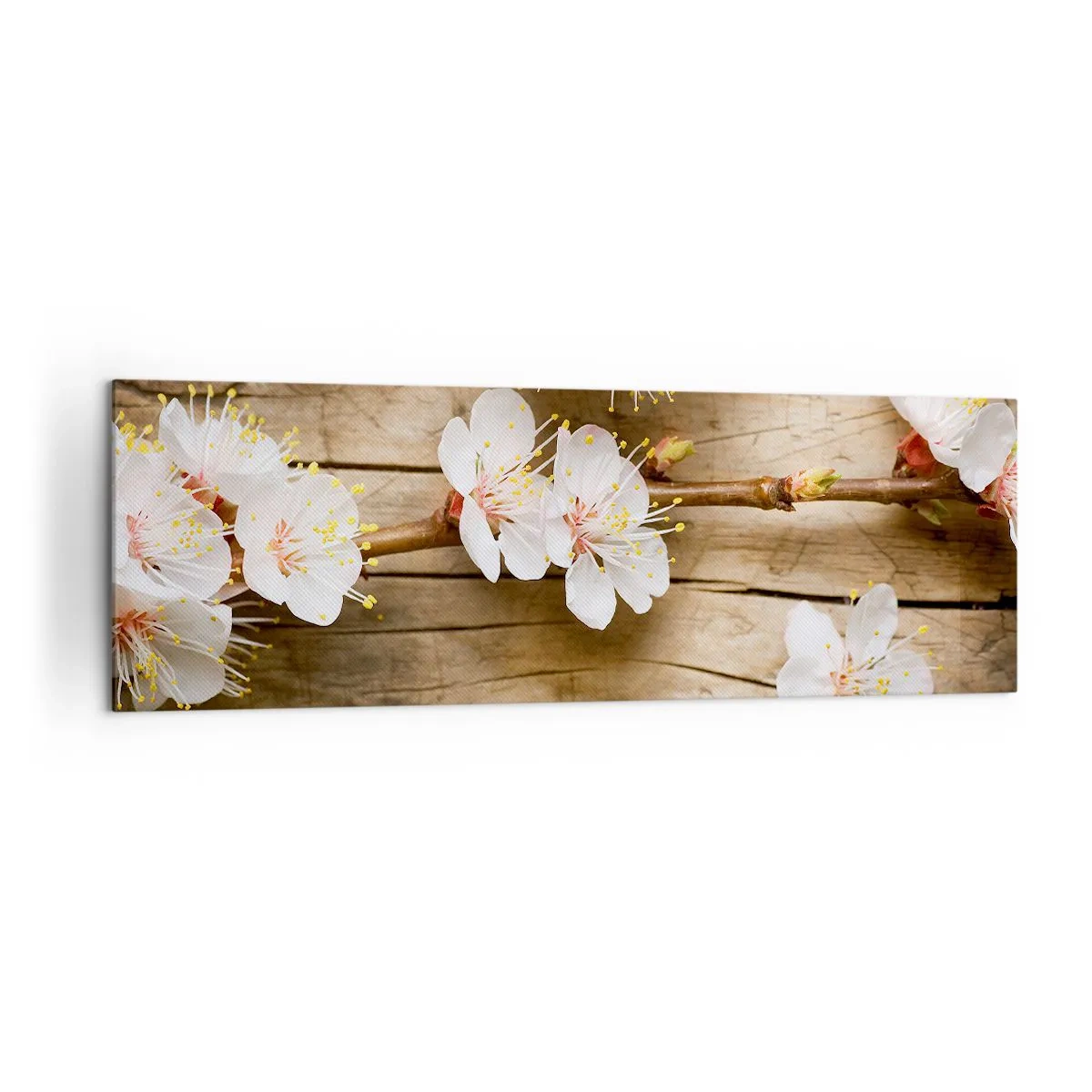 Impression sur toile - Image sur toile - Branches de cerisiers en fleurs sur fond de planche de bois - 160x50cm - Et c'est devenu le printemps - Décoration murale moderne pour le salon et la chambre ARTTOR