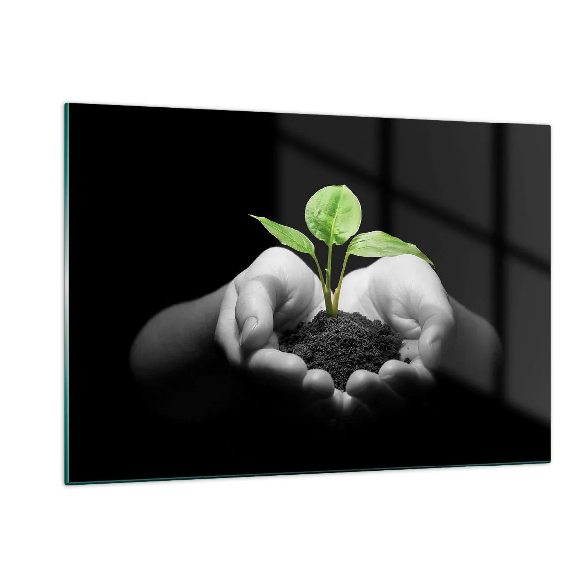 Impression sur verre - Image sur verre - Une jeune plante dans les mains sur un fond noir - 120x80cm - J'aime la nature, je la protège - Décoration murale moderne pour le salon et la chambre ARTTOR