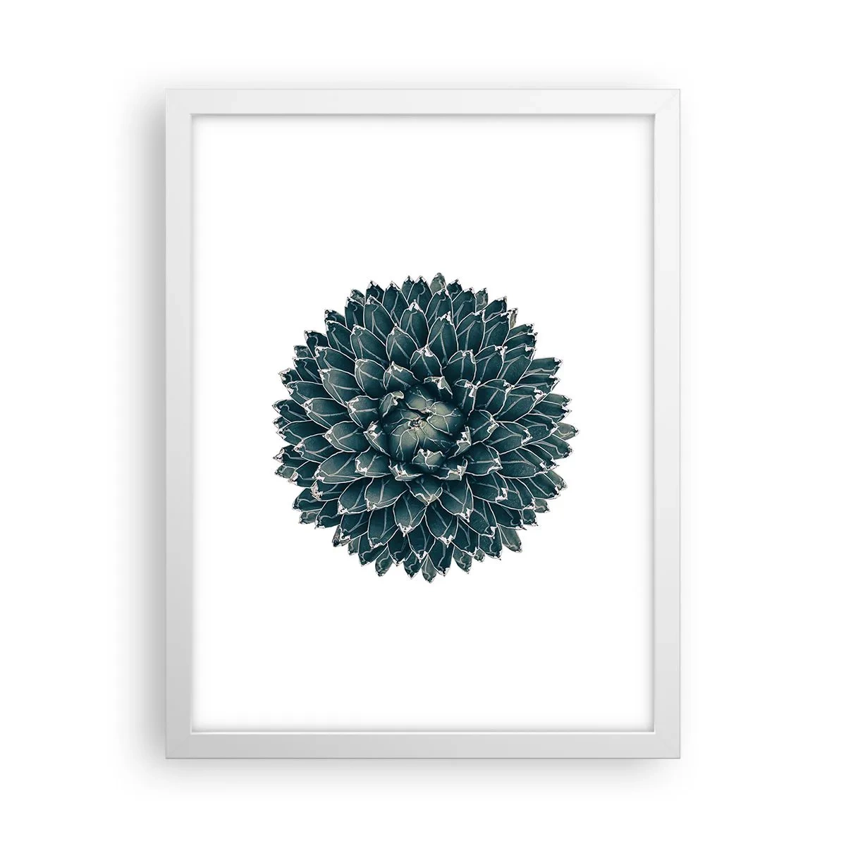 Affiche dans un cadre blanc - Poster - Étoile du désert - 30x40 cm