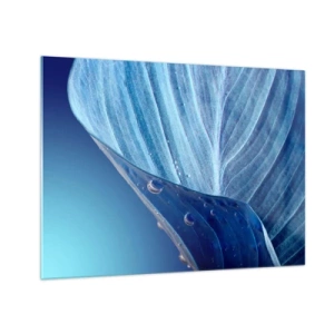 Impression sur verre - Image sur verre - Une feuille dans des tons bleus avec des gouttes d'eau sur un fond dégradé. - 70x50cm - Gouttes cachées du bleu - Décoration murale moderne pour le salon et la chambre ARTTOR