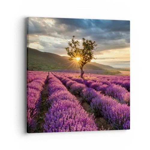 Impression sur toile - Image sur toile - Arôme de couleur lilas - 40x40 cm