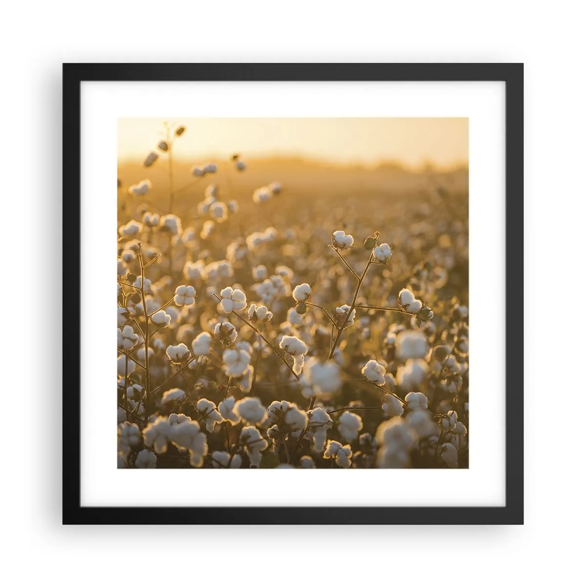 Affiche dans un cadre noir - Poster - Champ moelleux - 40x40 cm