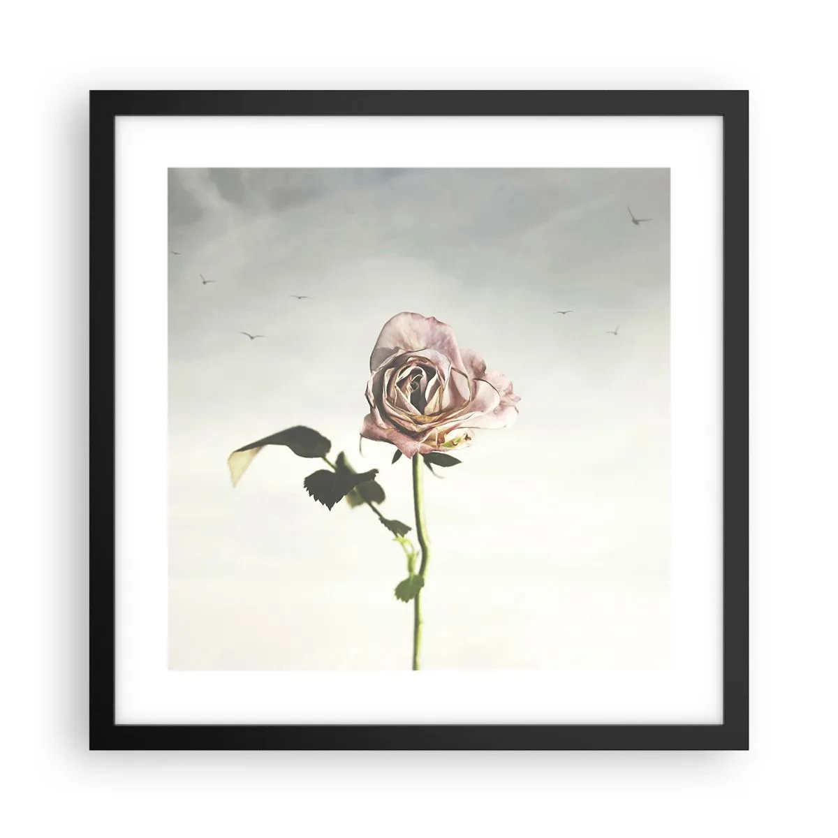 Affiche dans un cadre noir - Poster - Bonjour de printemps - 40x40 cm