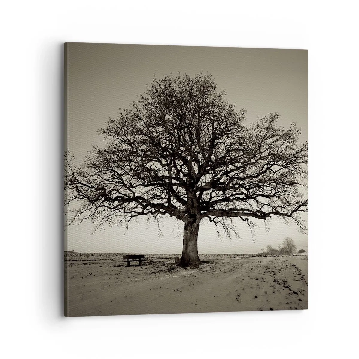 Impression sur toile - Image sur toile - D'ici à l'éternité - 70x70 cm