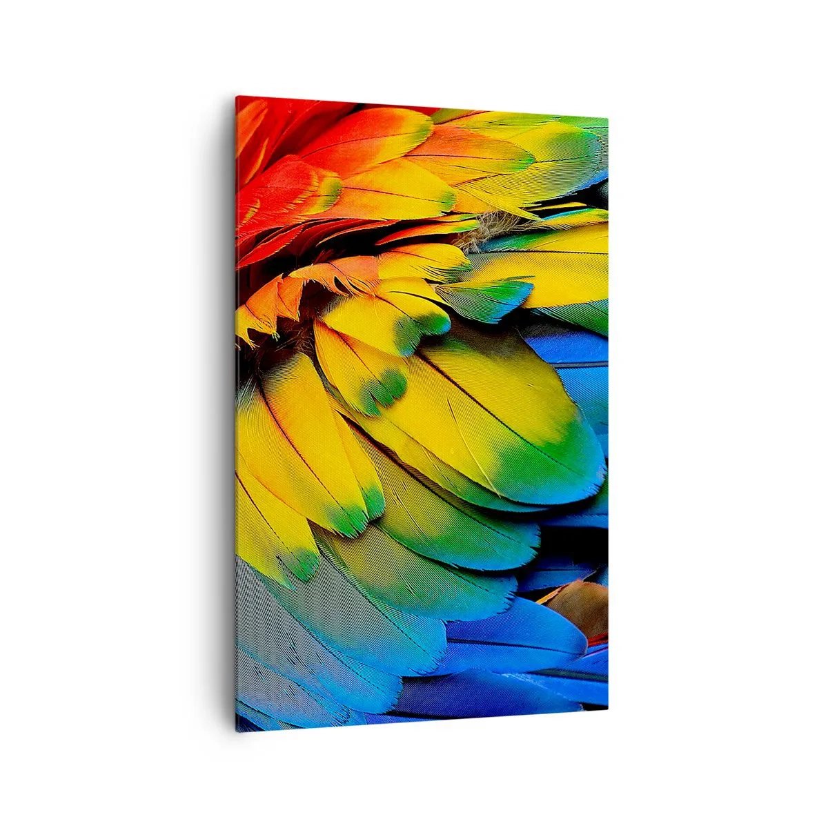 Impression sur toile - Image sur toile - Gros plan des plumes colorées d'un perroquet - 80x120cm - Oiseau de paradis - Décoration murale moderne pour le salon et la chambre ARTTOR
