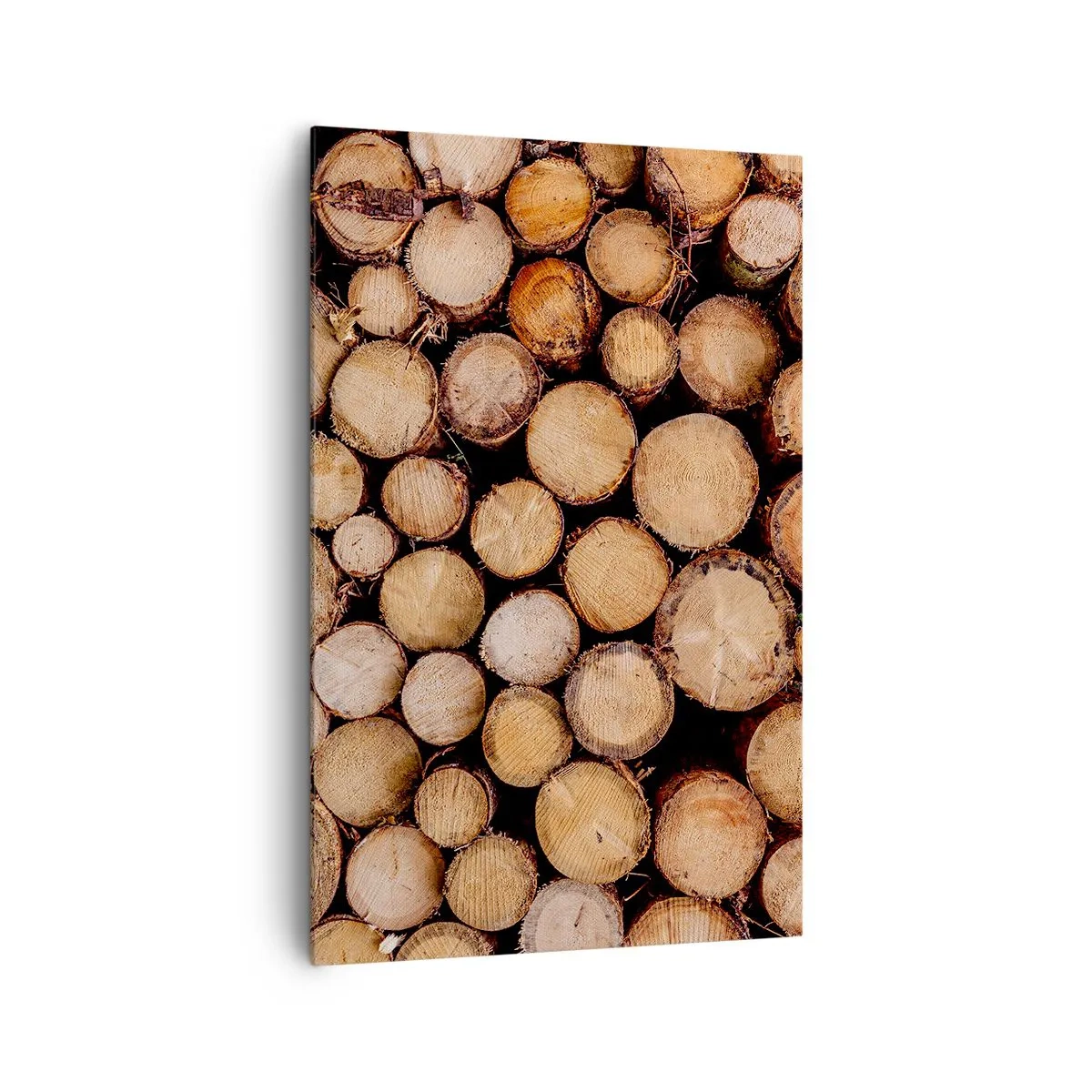 Impression sur toile - Image sur toile - Des tas de troncs d'arbres abattus disposés en harmonie - 80x120cm - Nouveau commencement - Décoration murale moderne pour le salon et la chambre ARTTOR