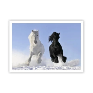 Affiche - Poster - Un cheval blanc et un cheval noir galopant dans la neige - 100x70cm - Galop noir et blanc - Décoration murale moderne pour le salon et la chambre ARTTOR