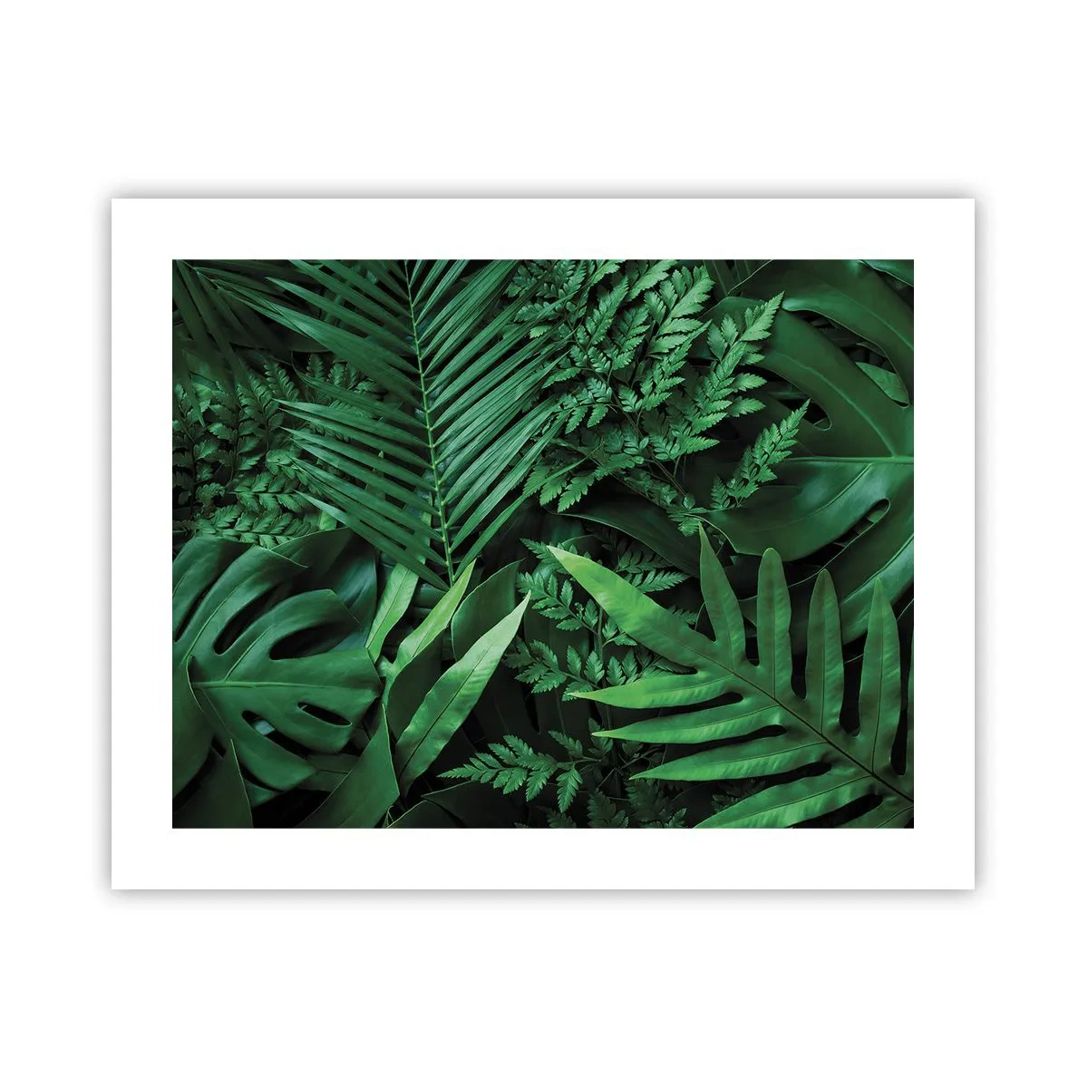 Affiche - Poster - Emmitouflé de verdure - 50x40 cm