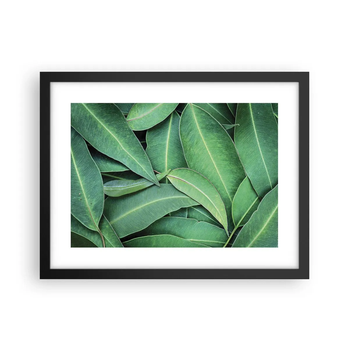 Affiche dans un cadre noir - Poster - Juteux et frais - 40x30 cm