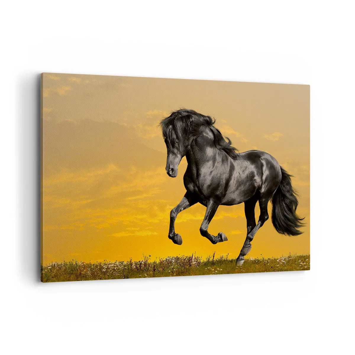 Impression sur toile - Image sur toile - Un cheval noir galope sur fond de coucher de soleil doré. - 120x80cm - Beau, libre et sauvage - Décoration murale moderne pour le salon et la chambre ARTTOR