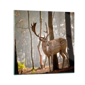 Impression sur verre - Image sur verre - La lumière de la jeunesse - 60x60 cm