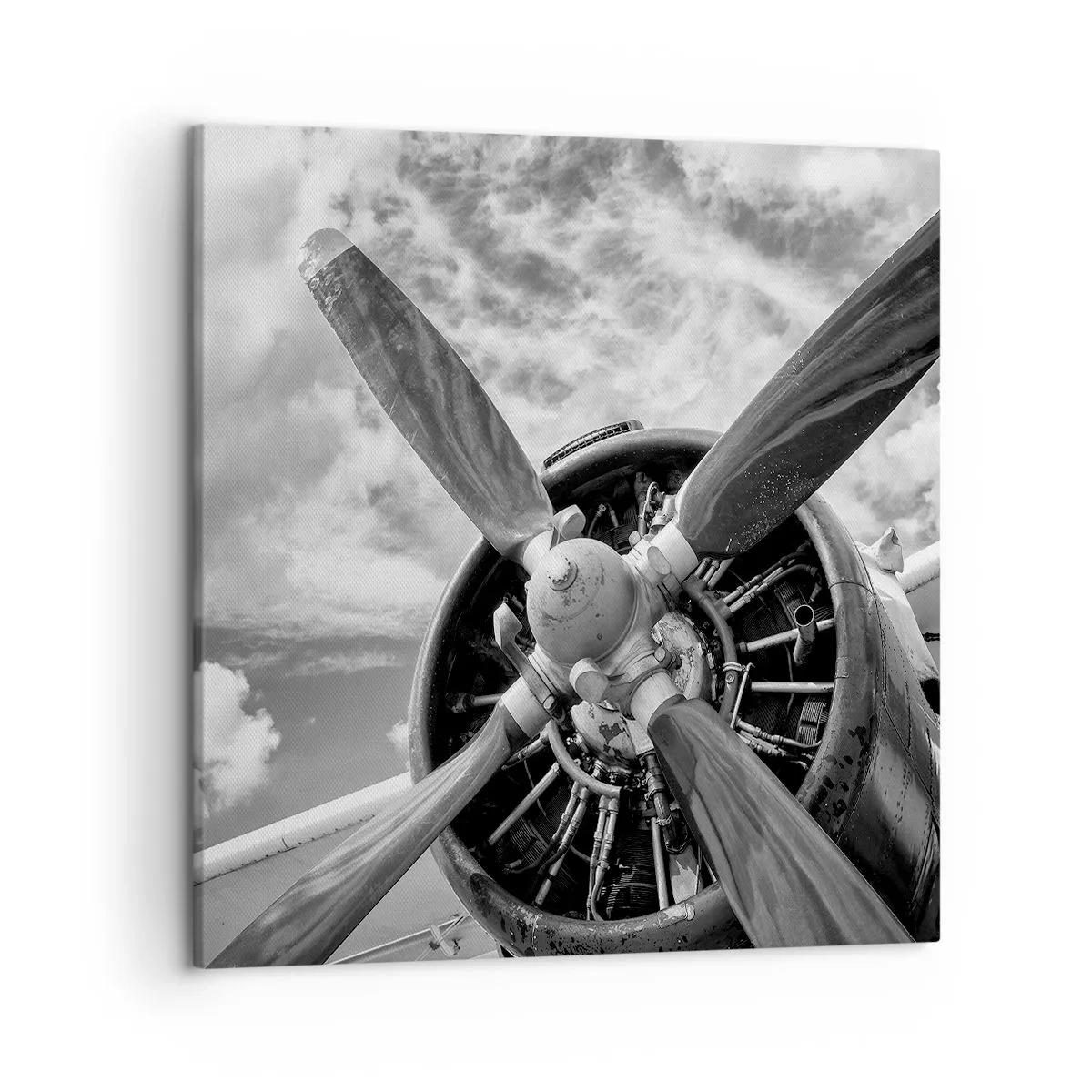 Impression sur toile - Image sur toile - Dompteur de ciel - 50x50 cm