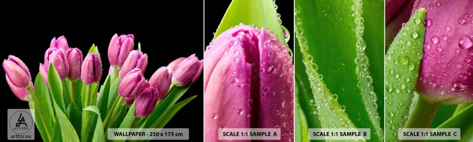 Échantillon De Papier Peint Standard Eco - Joie printanière des lilas - Fleurs, Tulipes, Bouquet de fleurs - 100x30 cm