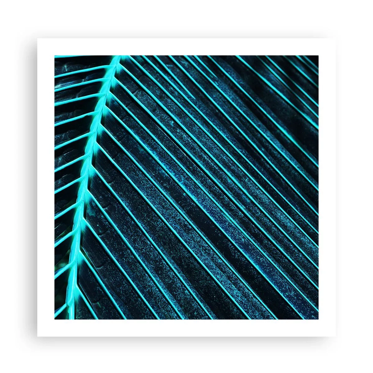 Affiche - Poster - Texture verte - 60x60 cm