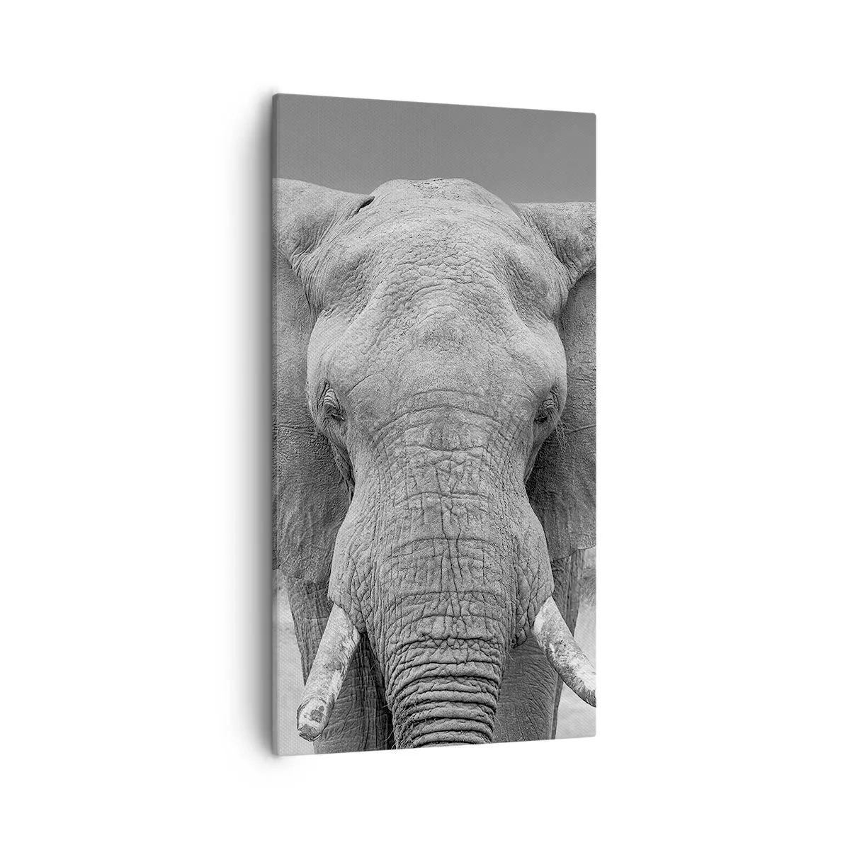 Impression sur toile - Image sur toile - Bienvenue dans mon monde - 55x100 cm