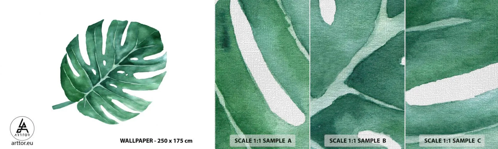 Échantillon de Papier Peint Premium Canvas - Concept vert - Monstre, Feuille, Bohème - 100x30 cm