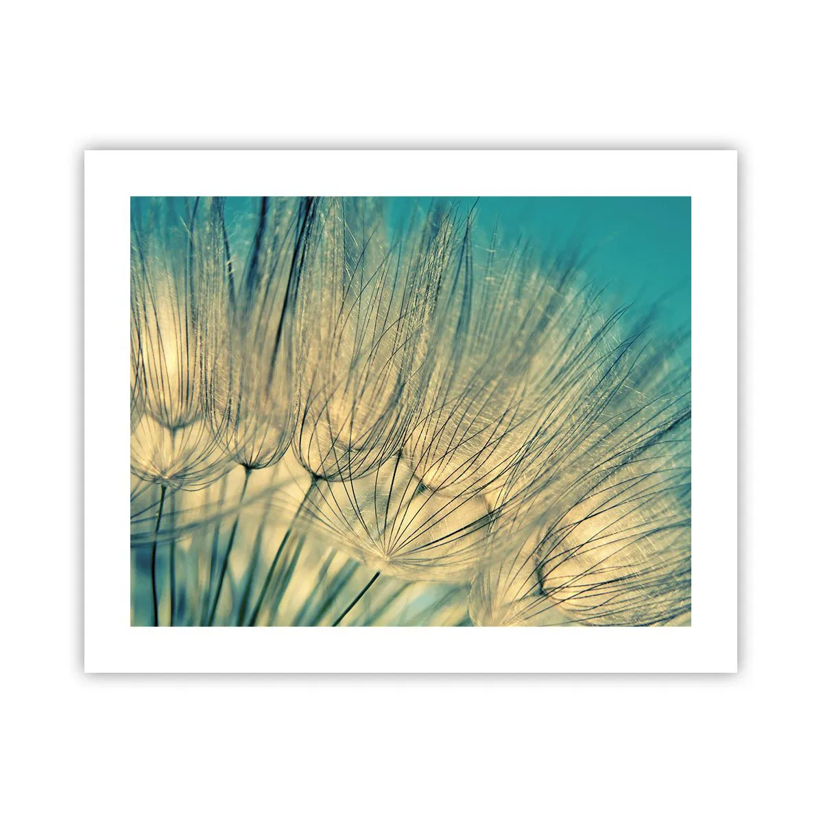 Affiche - Poster - En attente du vent - 50x40 cm