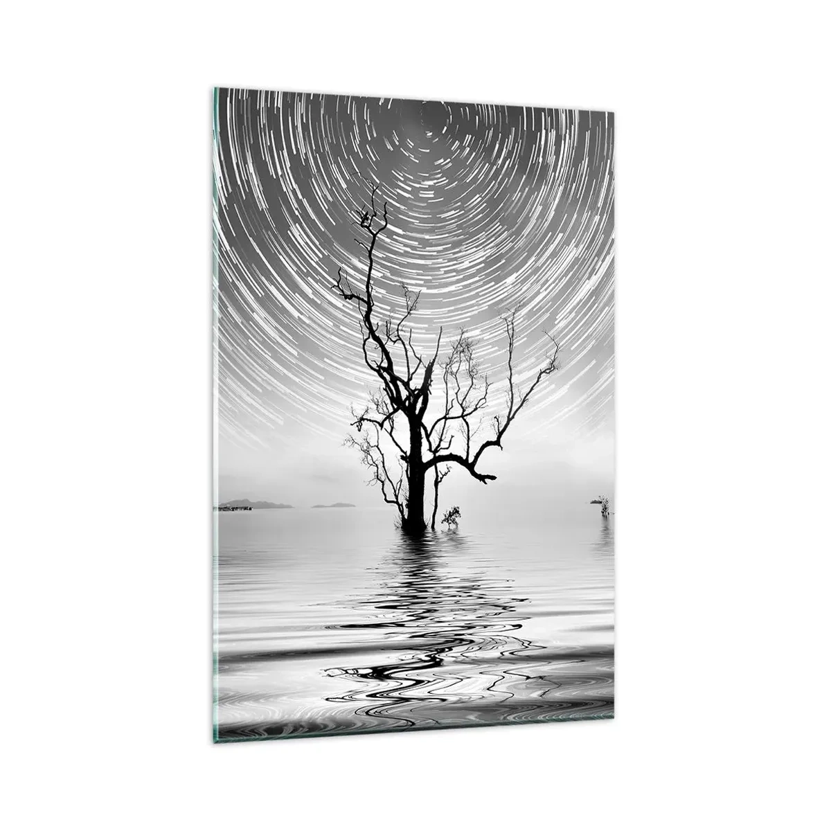 Impression sur verre - Image sur verre - Un arbre dans l'eau sous un ciel nocturne avec des étoiles en mouvement - 80x120cm - La symphonie de la nature - Décoration murale moderne pour le salon et la chambre ARTTOR