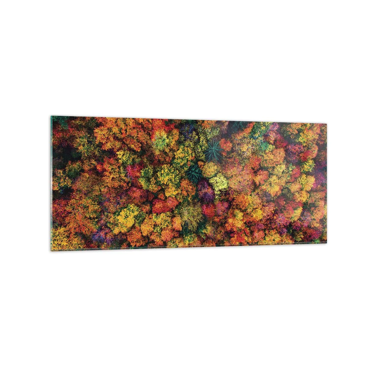 Impression sur verre - Image sur verre - Couronnes d'arbres colorées dans la palette d'automne - 120x50cm - Bouquet d'arbres automnal - Décoration murale moderne pour le salon et la chambre ARTTOR