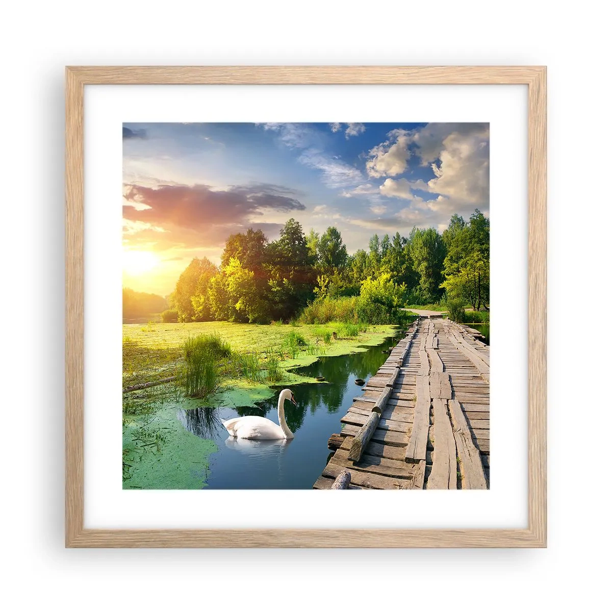 Affiche dans un chêne clair - Poster - L'été, l'été partout - 40x40 cm